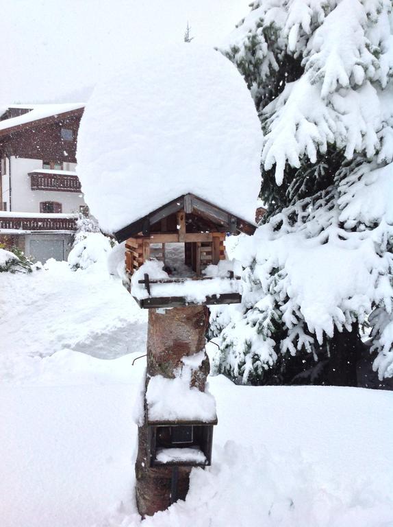 Haus Amann Apartment Berwang Exterior foto