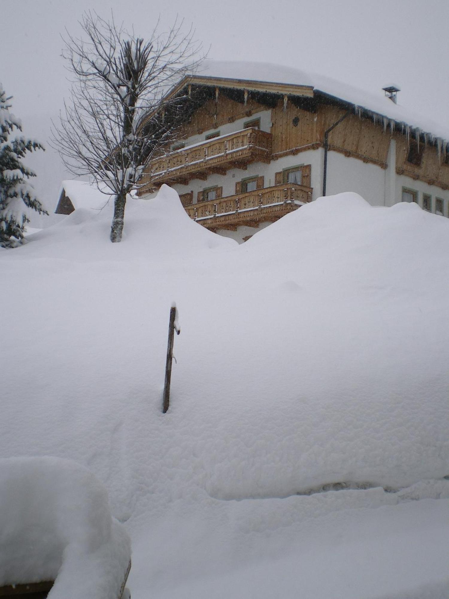 Haus Amann Apartment Berwang Exterior foto